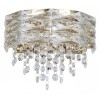 Накладной светильник Favourite Icicle 4251-2W