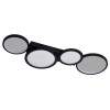 Накладной светильник Favourite Neumel 4700-4C