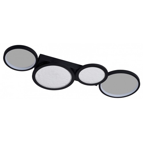 Накладной светильник Favourite Neumel 4700-4C