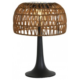 Настольная лампа декоративная Favourite Assolato 4833-1T