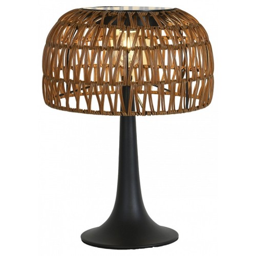 Настольная лампа декоративная Favourite Assolato 4833-1T