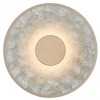 Накладной светильник Favourite Solarius 4858-1W