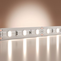 Лента светодиодная Maytoni Base 201164