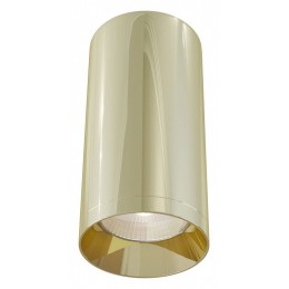 Накладной светильник Maytoni Focus C010CL-01G