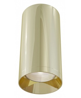Накладной светильник Maytoni Focus C010CL-01G