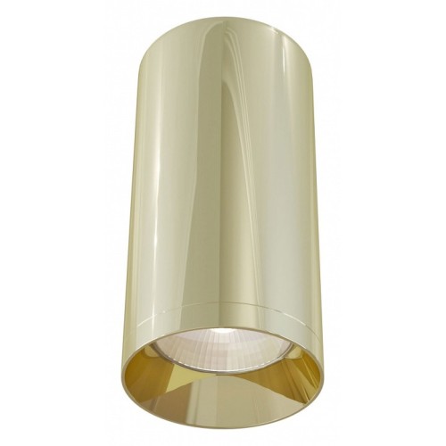 Накладной светильник Maytoni Focus C010CL-01G