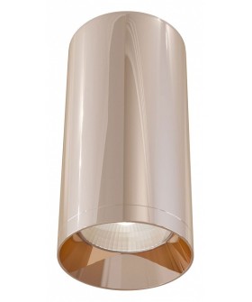 Накладной светильник Maytoni Alfa C010CL-01RG