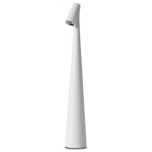 Настольная лампа декоративная Freya Clam FR6188TL-L3W