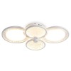Накладной светильник Freya Omega FR6197WL-L15W