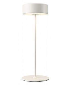 Настольная лампа декоративная Maytoni AI Collaboration MOD229TL-L3W3K2
