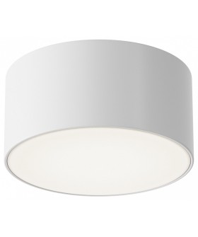 Накладной светильник Maytoni Zon IP O430CL-L15W4K