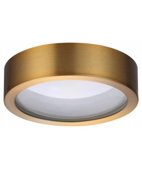 Накладной светильник Odeon Light Reus 4342/7CL