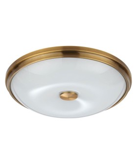 Накладной светильник Odeon Light Pelow 4956/4