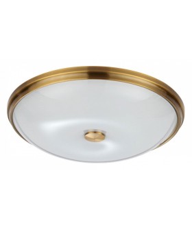 Накладной светильник Odeon Light Pelow 4956/5