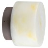 Накладной светильник Odeon Light NATURE 7190/6WLA