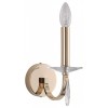 Бра ST-Luce BRASS SL1405.201.01