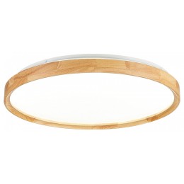 Накладной светильник EVOLUCE DELIA SLE201382-01