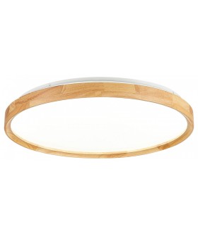 Накладной светильник EVOLUCE DELIA SLE201382-01