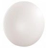 Накладной светильник Sonex PALE 3017/CLN