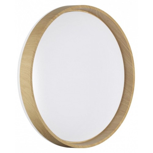 Накладной светильник Sonex BASICA 7684/ELN