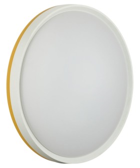 Накладной светильник Sonex COLOR 7709/ELN