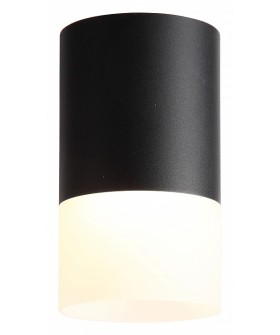 Накладной светильник ST-Luce Ottu ST100.402.05 Накладной светильник ST-Luce Ottu ST100.402.05