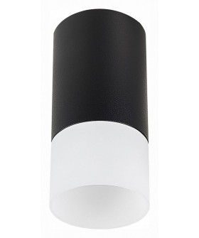 Накладной светильник ST-Luce ST100 ST100.412.01