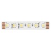 Лента светодиодная ST-Luce  ST1005.418.20RGBW.1
