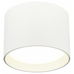 Накладной светильник ST-Luce  ST163.502.01.02