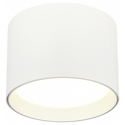 Накладной светильник ST-Luce  ST163.502.01.02