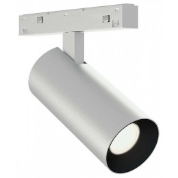 Светильник на штанге ST-Luce SKYLINE 48+ ST2365.546.08_SH_R