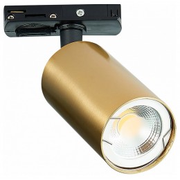 Светильник на штанге ST-Luce ST300 ST300.206.01