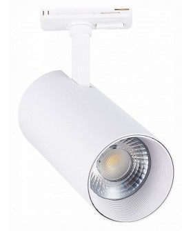 Светильник на штанге ST-Luce Mono ST350.536.30.36