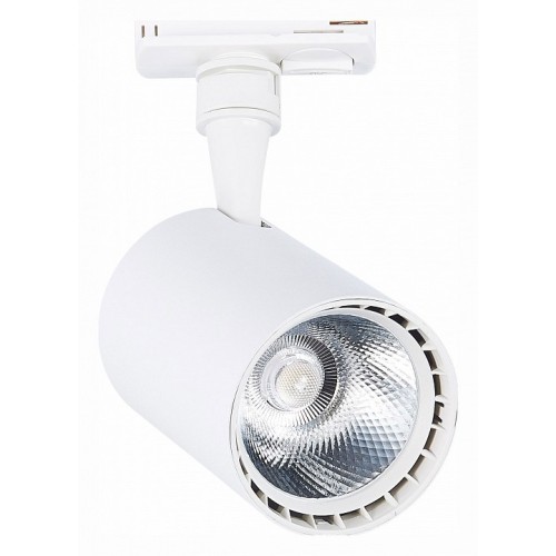 Светильник на штанге ST-Luce Cami ST351.536.15.24