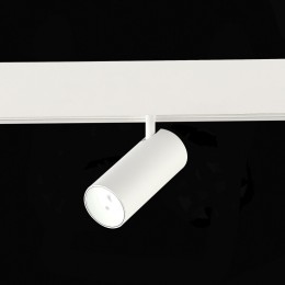 Светильник на штанге ST-Luce SKYLINE 48 ST375.506.07ZGB