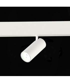 Светильник на штанге ST-Luce SKYLINE 48 ST375.506.07ZGB