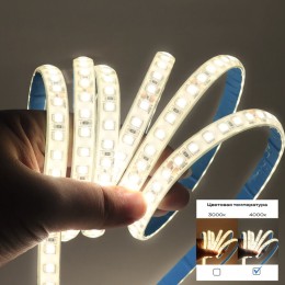 Лента светодиодная ST-Luce ST5001 ST5001.414.20