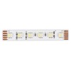 Лента светодиодная ST-Luce ST5005 ST5005.318.20RGBW.1