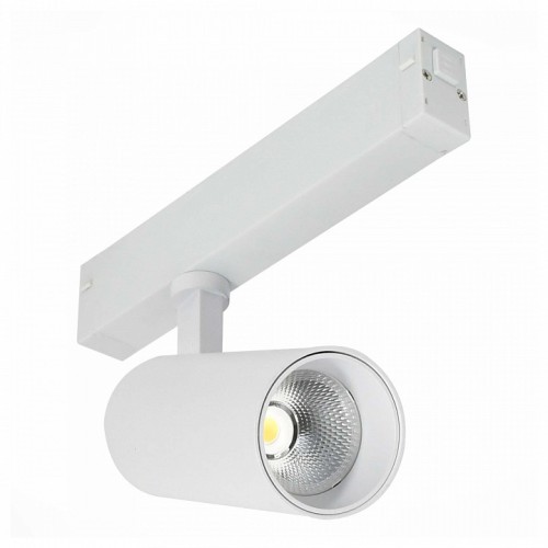 Светильник на штанге ST-Luce SKYLINE 220 ST660.546.20H