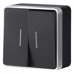 Выключатель двухклавишный с подсветкой Werkel Gallant (черный с серебром) W5020134