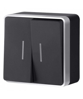 Выключатель двухклавишный с подсветкой Werkel Gallant (черный с серебром) W5020134