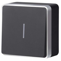 Выключатель одноклавишный с подсветкой Werkel Gallant (черный с серебром) W5010134