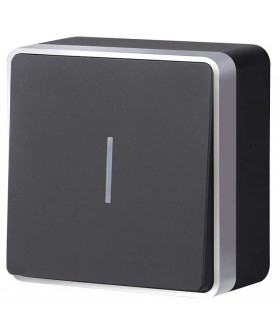 Выключатель одноклавишный с подсветкой Werkel Gallant (черный с серебром) W5010134