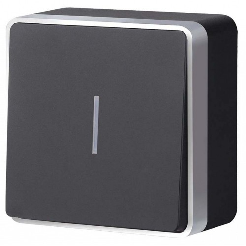 Выключатель одноклавишный с подсветкой Werkel Gallant (черный с серебром) W5010134