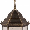 Наземный низкий светильник Arte Lamp Pegasus A3151FN-1BN