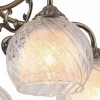 Потолочная люстра Arte Lamp Charlotte A7062PL-5AB