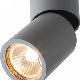 Накладной светильник Divinare Gavroche Posto 1800/05 PL-1