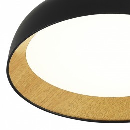 Накладной светильник EVOLUCE MUSE SLE1812-402-01