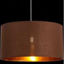 Подвесной светильник EVOLUCE Brescia SLE300573-01