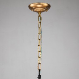 Подвесная люстра Favourite Roshe 2624-8P